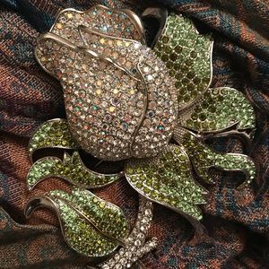 Crystal Rhinestone Pave Brooch